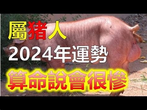 1971屬豬2024運勢豬女|豬女2024年財運預測